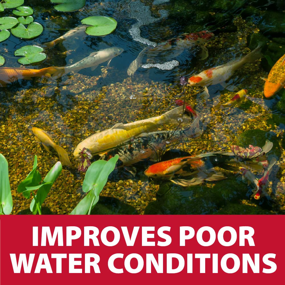 InstaFix | Liquid Pond & Fountain Algaecide | The Pond Guy