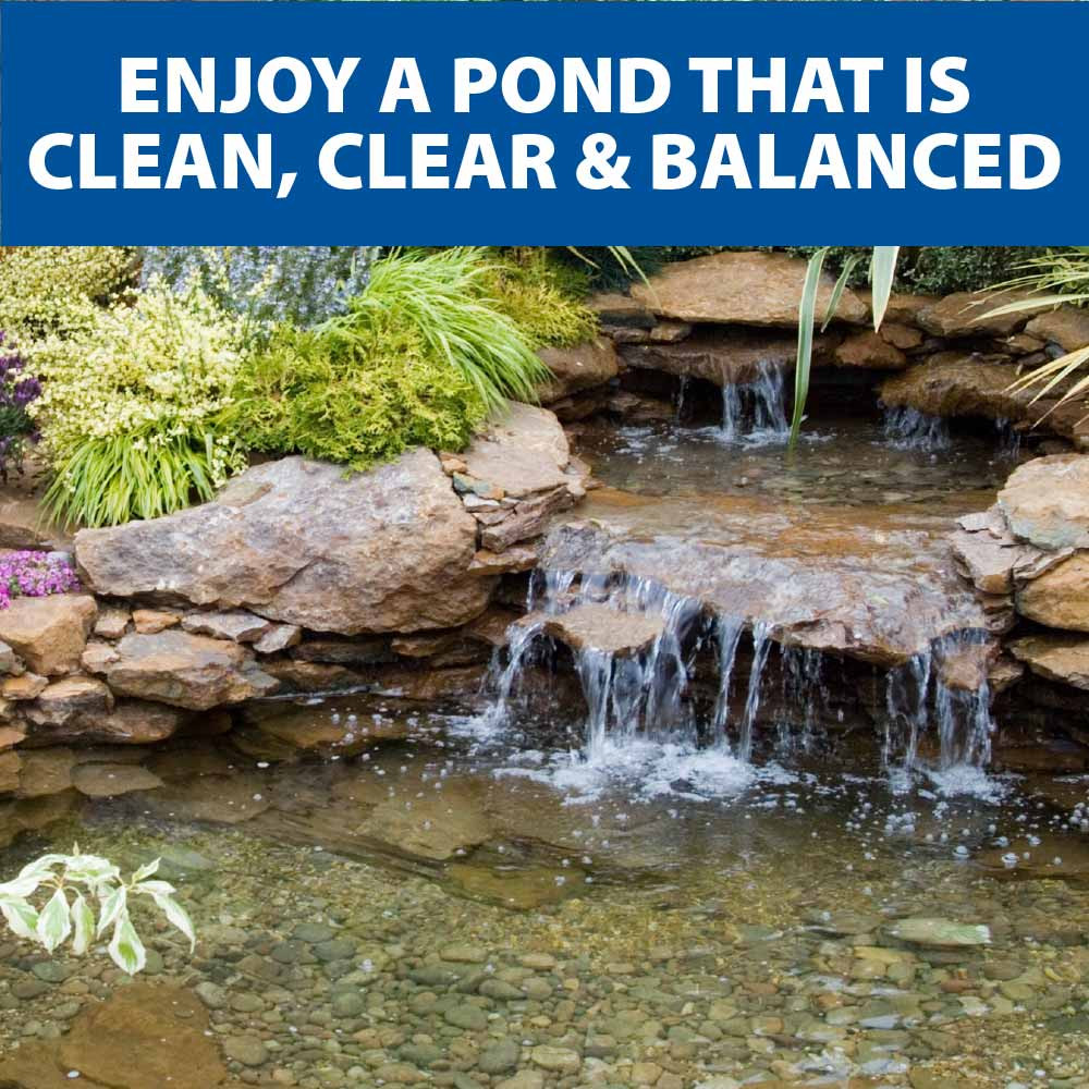 The Pond Guy LiquidClear Beneficial Bacteria – Pond Water Clarifier for Koi Ponds