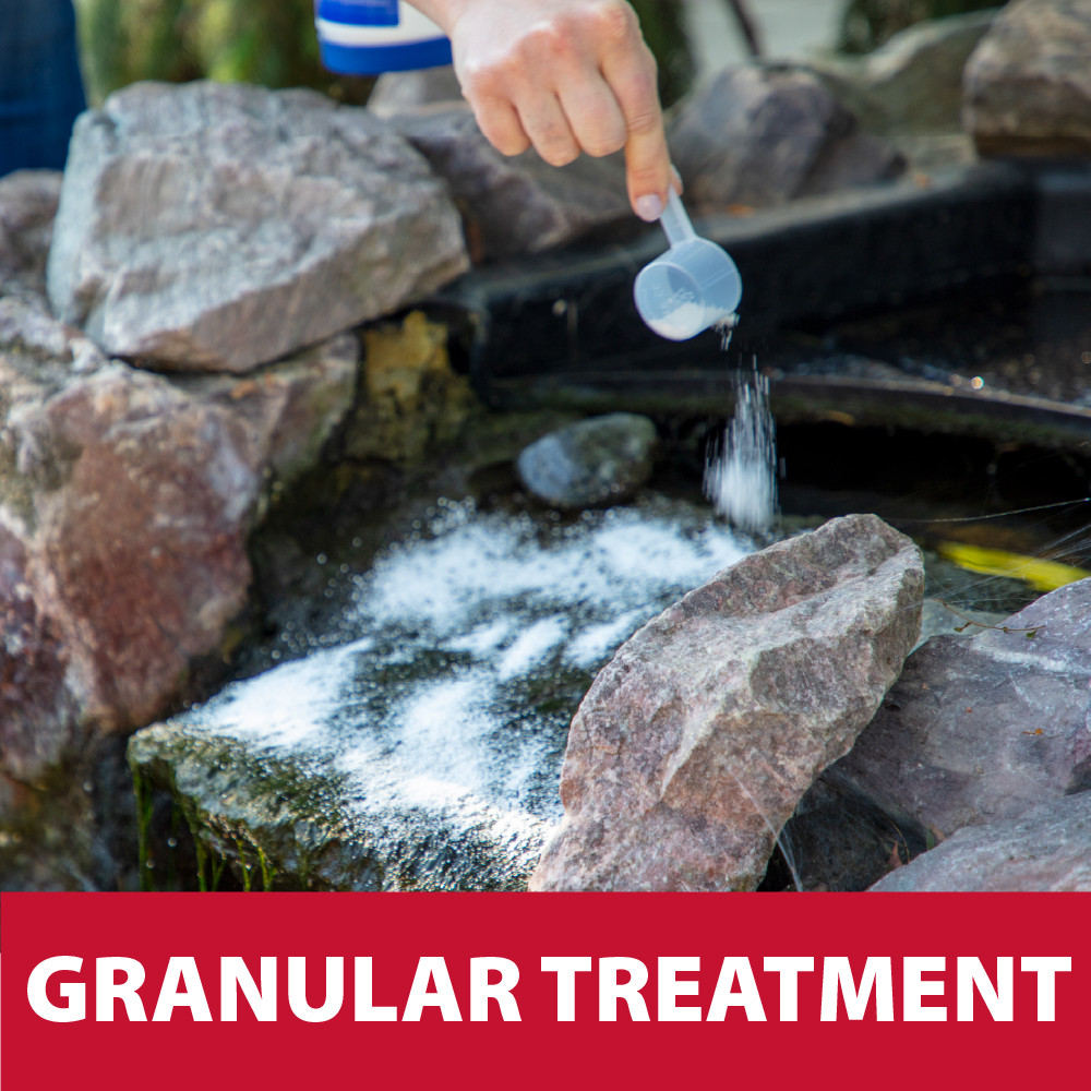 A person sprinkling Oxy-Lift Defense granules on string algae with the bottom text “Granular Treatment”.