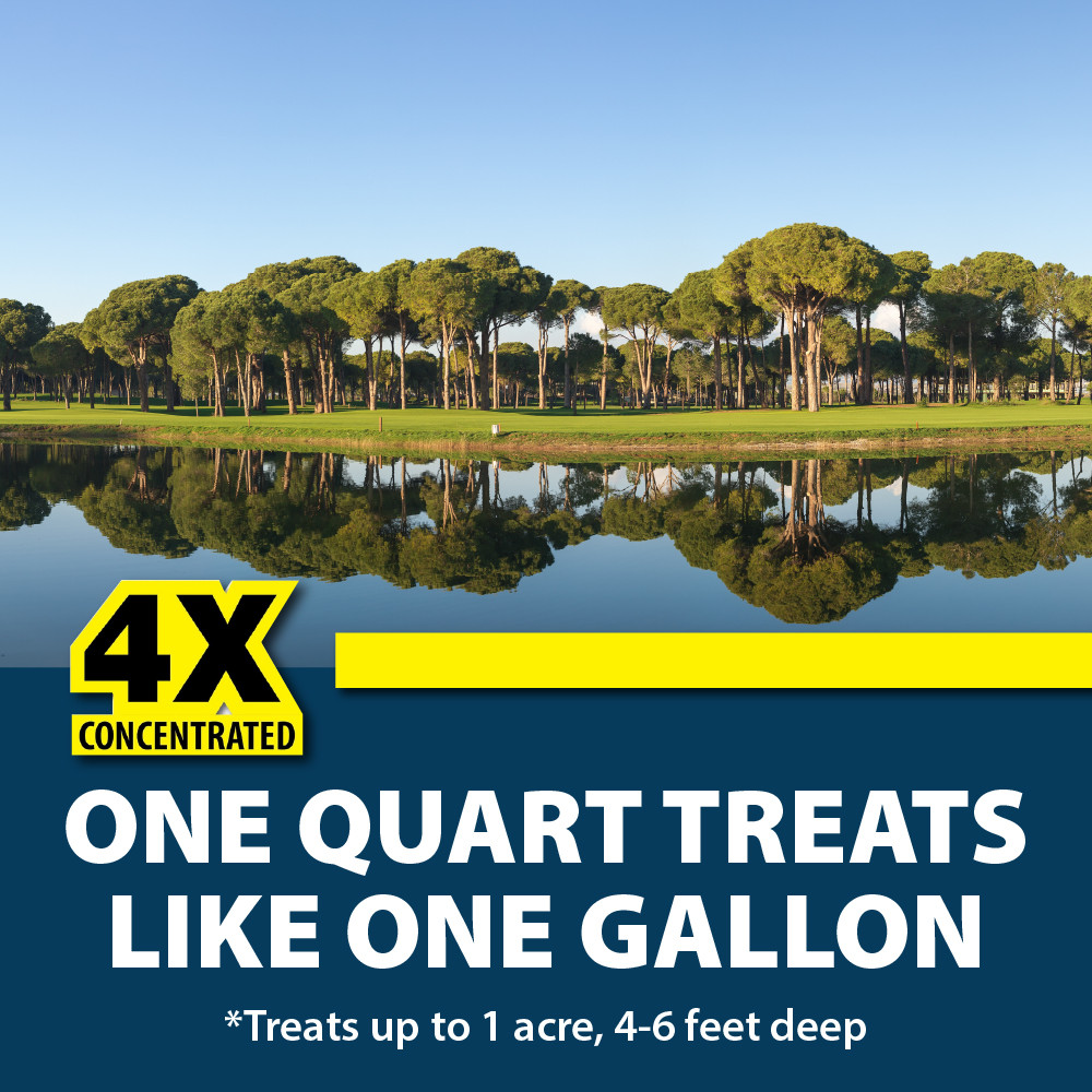 A large pond reflecting the landscape with bottom text: 4X Concentrated One Quart Treats Like One Gallon *Treats up to 1 acres, 4-6 feet deep.”.