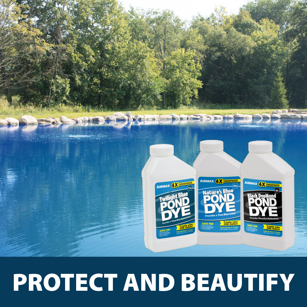 A bright blue pond with all three quarts superimposed and the bottom text “Protect and Beautify”.