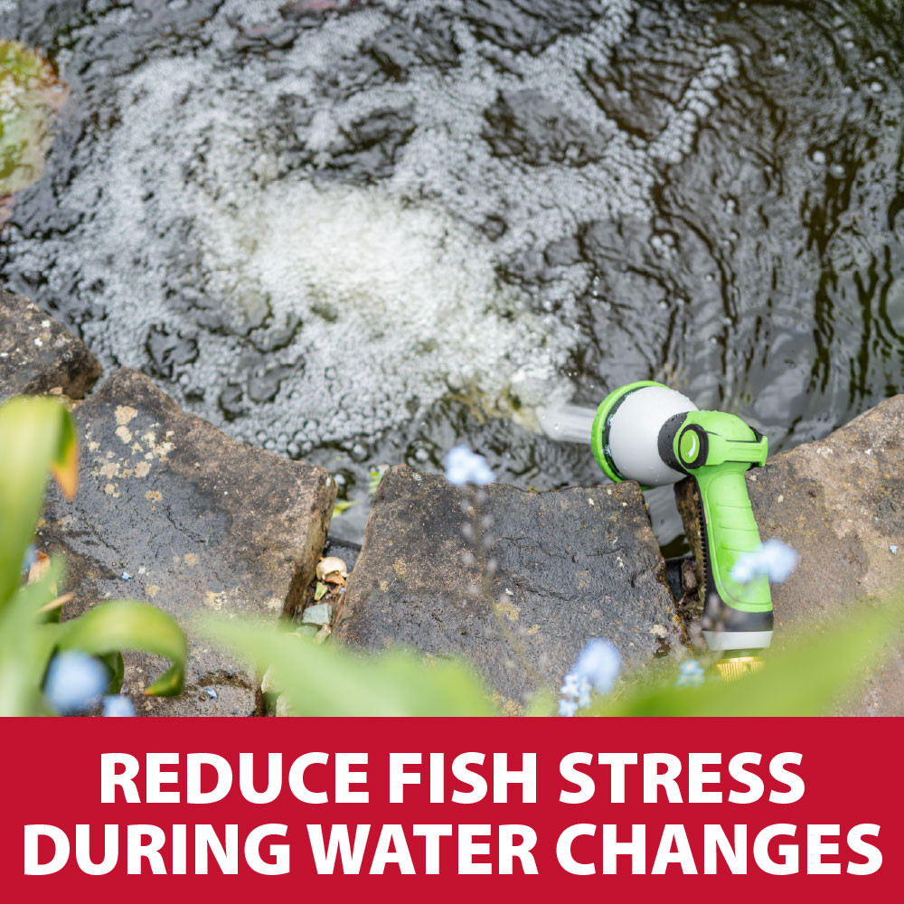 Garden hose filling pond while Stress Reducer Plus is used to reduce fish stress during water changes and protect fish from harmful tap water chemicals