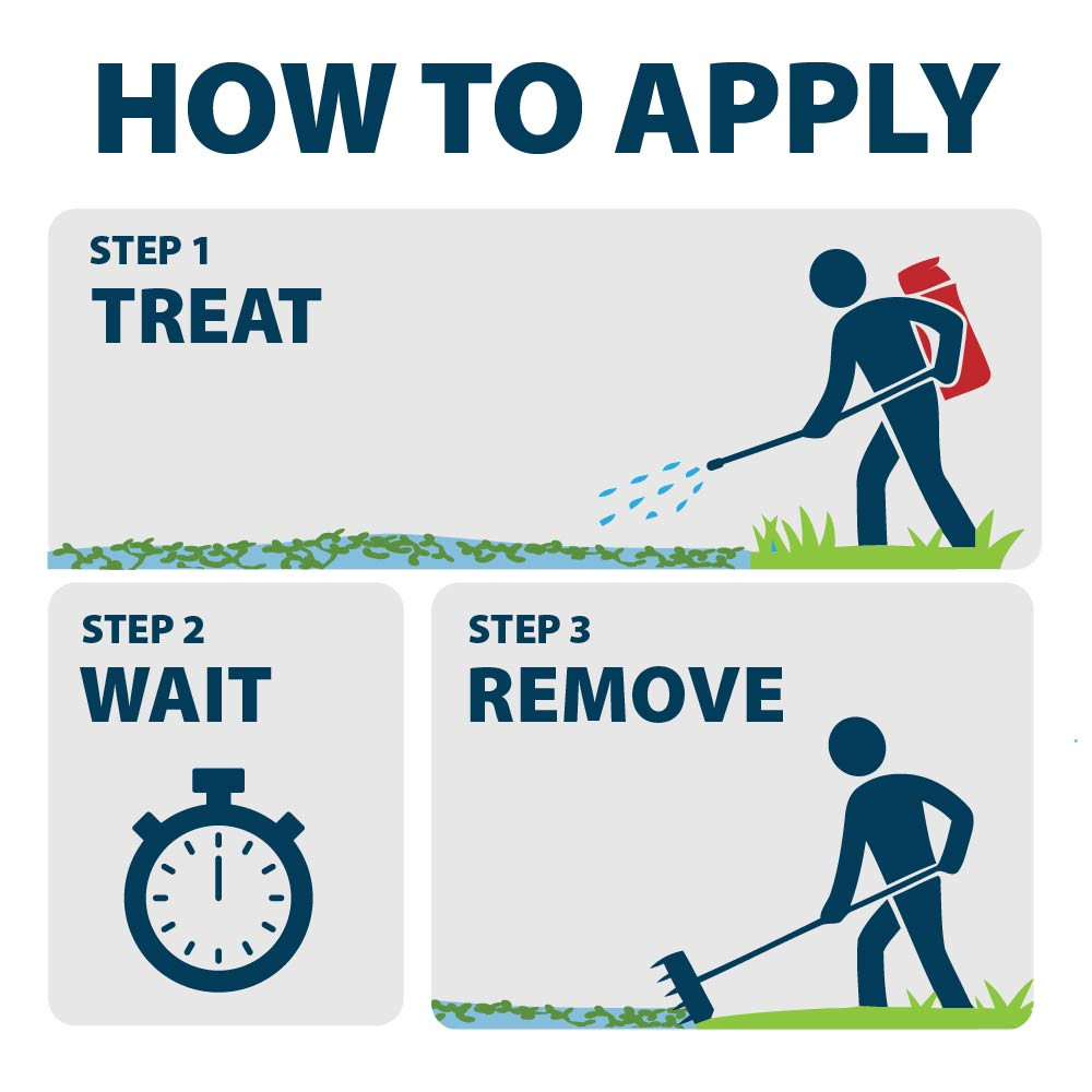 How to apply graphic showing three steps for aquatic weed control: treat pond weeds with sprayer, wait for results, then remove dead vegetation.