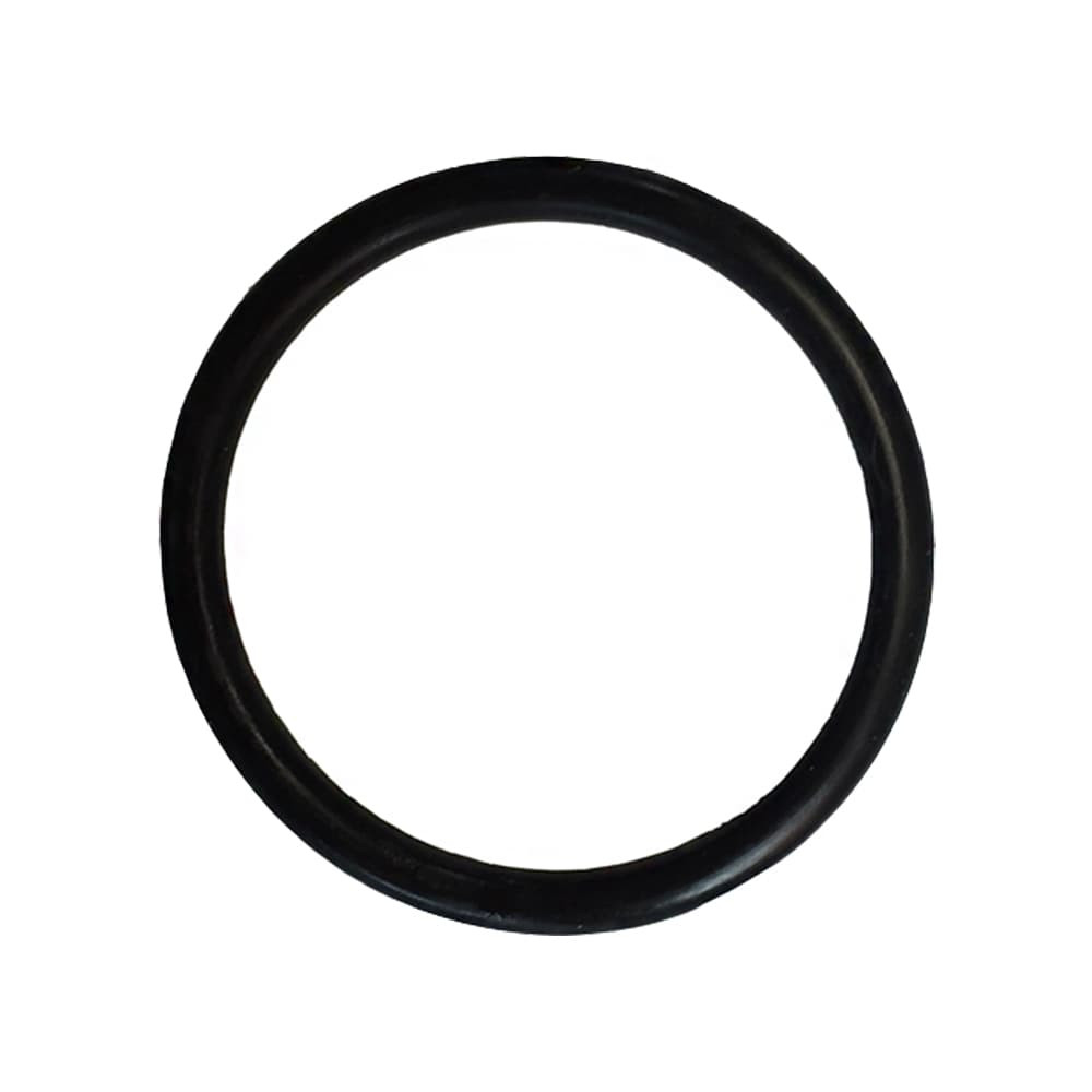 The Pond Guy AllClear G1 Quartz Sleeve O-Ring