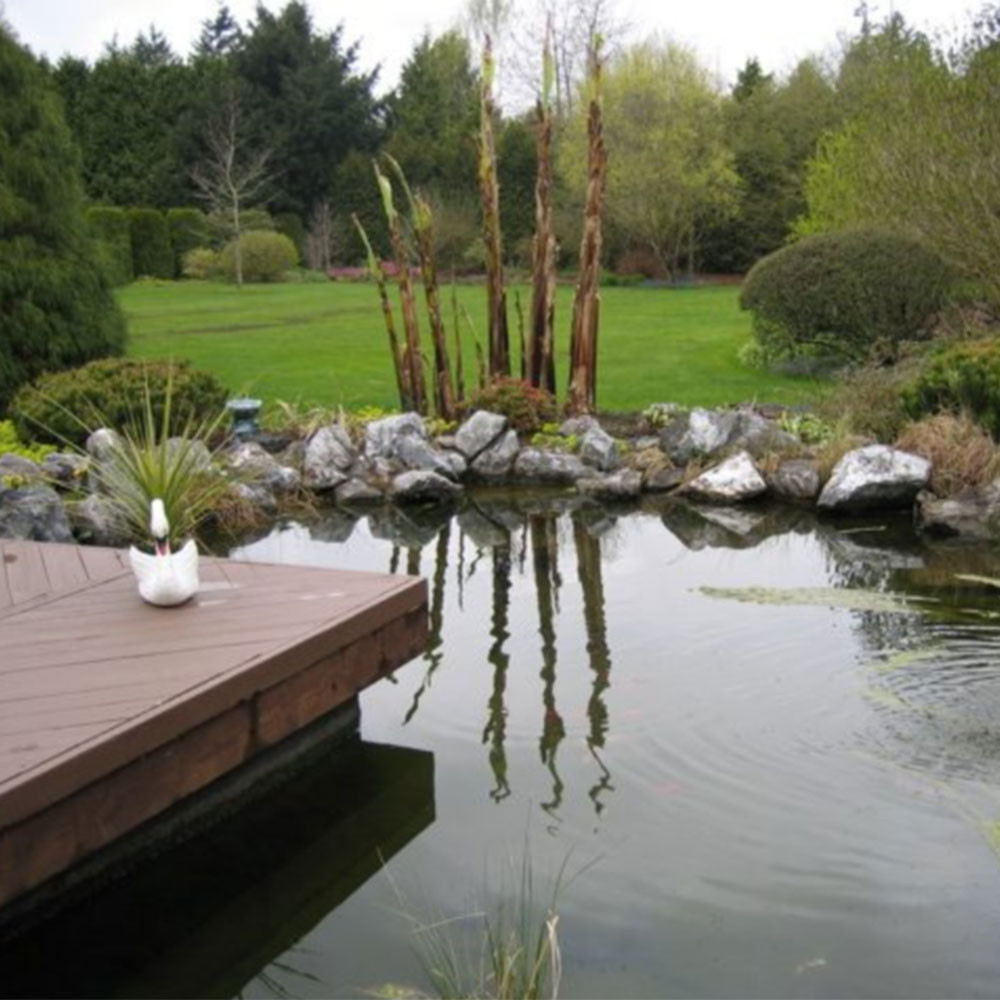 Deck Pond