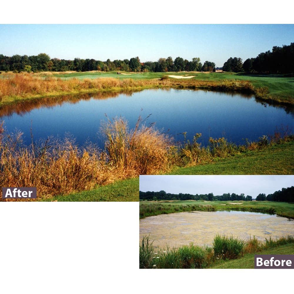 Before and After, Pond Treated With Sonar RTU