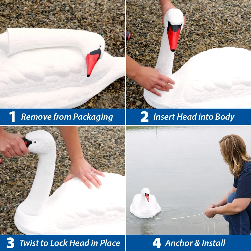 Step-by-step assembly and installation of floating swan decoy showing head attachment, twist lock, and anchoring for pond placement.
