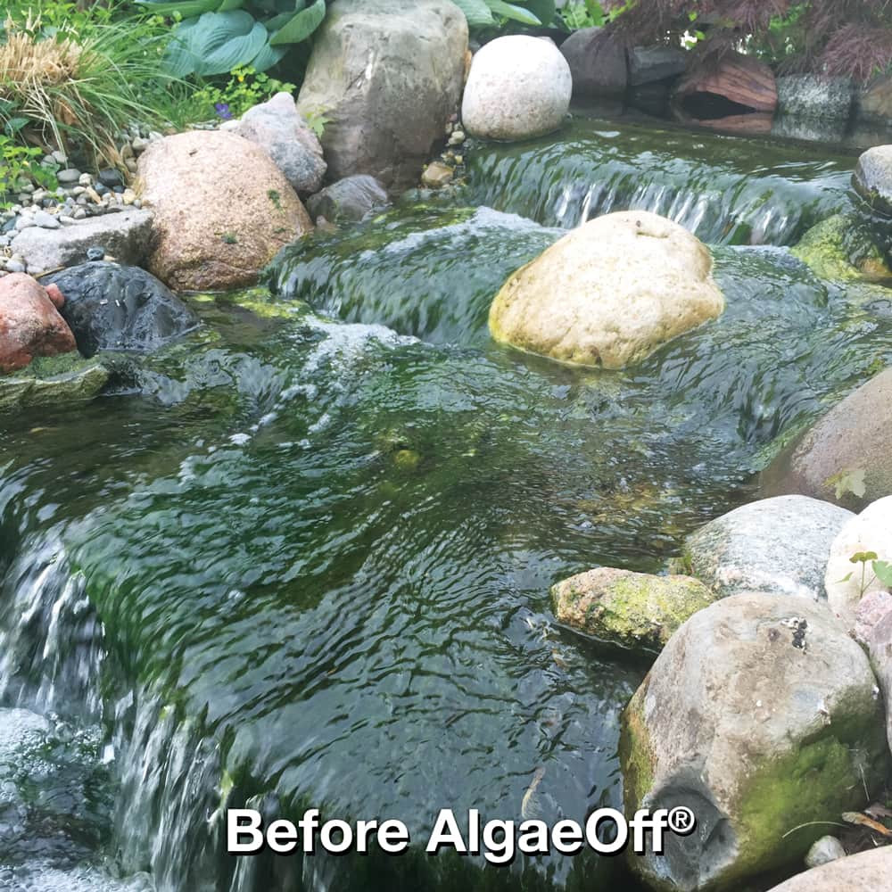 CrystalClear AlgaeOff String Algae Remover Before Treatment