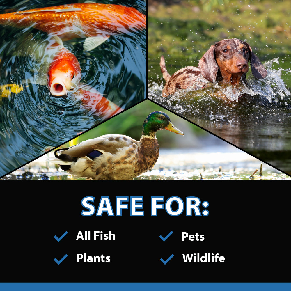 A collage of animals with the bottom text “Safe For All Fish, Plants, Pets, Wildlife”.
