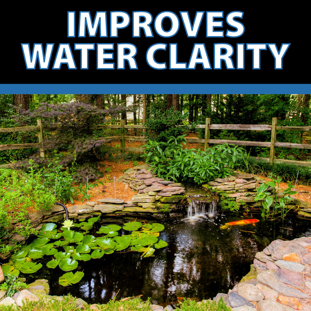 A clean and clear koi pond with the top text “Improves Water Clarity”.