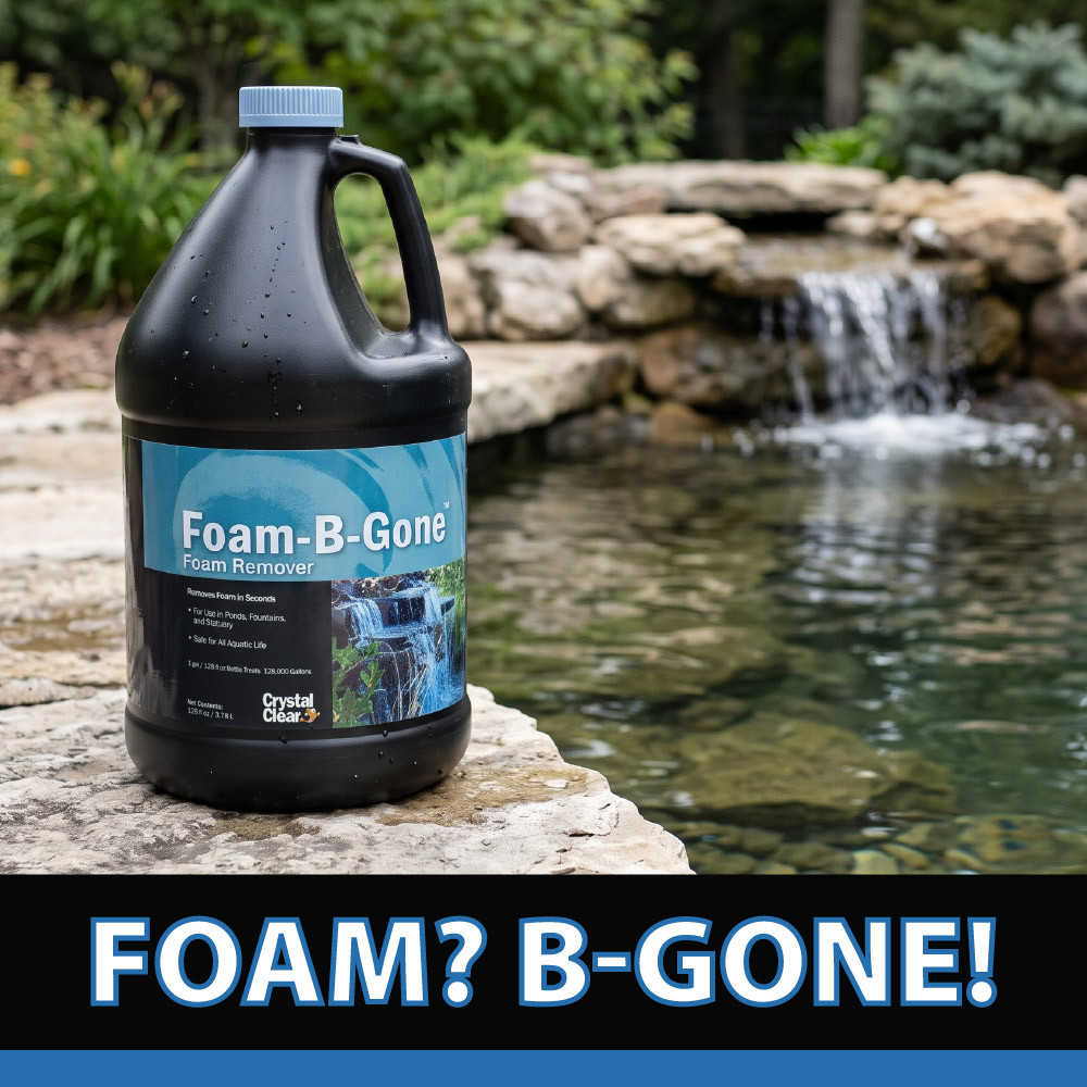CrystalClear Foam-B-Gone gallon bottle displayed on stone beside a backyard pond and waterfall with the promotional message Foam? B-Gone!