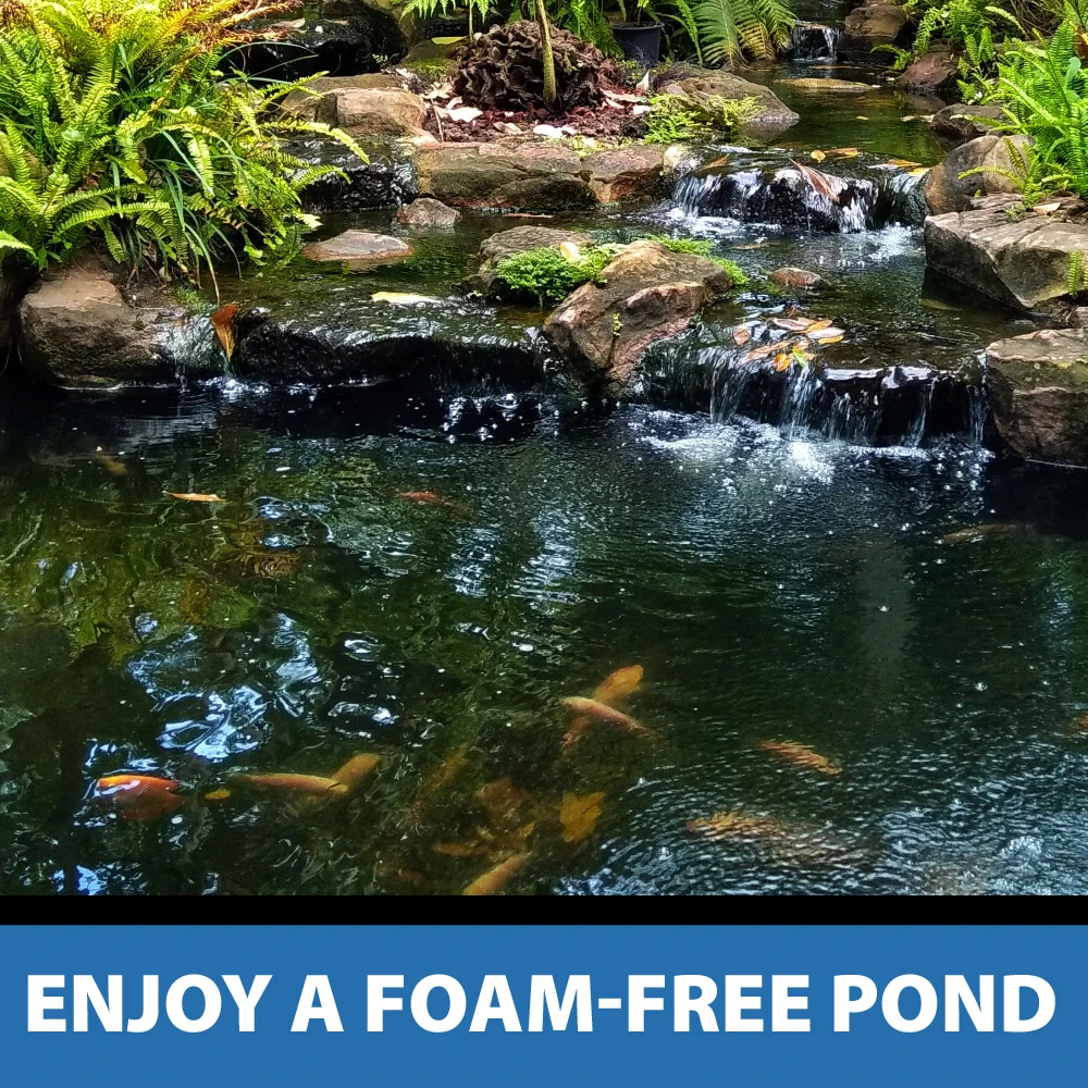 Landscaped koi pond with cascading waterfalls, natural rocks, and lush green plants, promoting a beautiful, foam-free water feature.