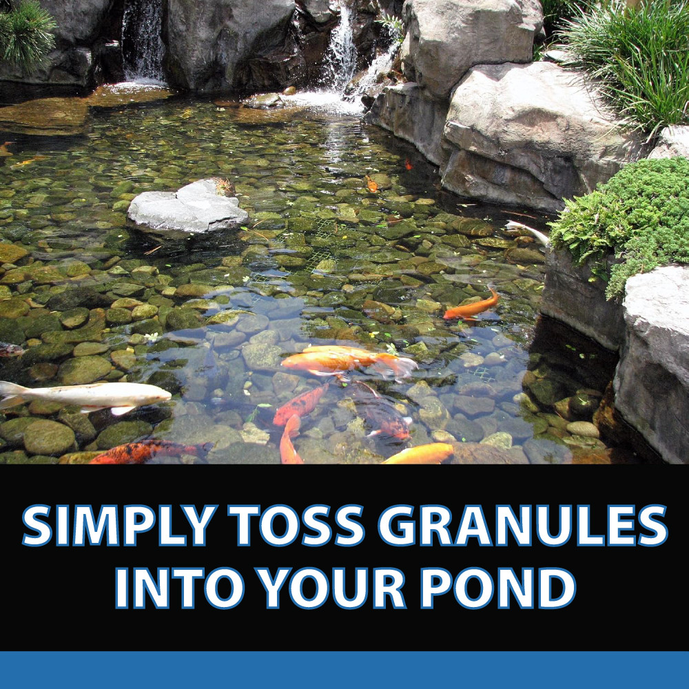 A small koi pond with a flowing waterfall and clear water. Bottom text reads “Simply toss granules into your pond”.