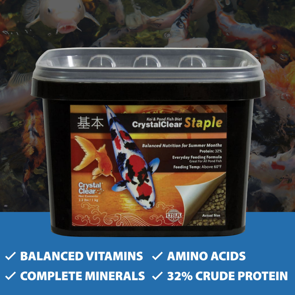 CrystalClear Staple Fish Food bucket, with text: “Balanced vitamins, amino acids, complete minerals, 32% crude protein”