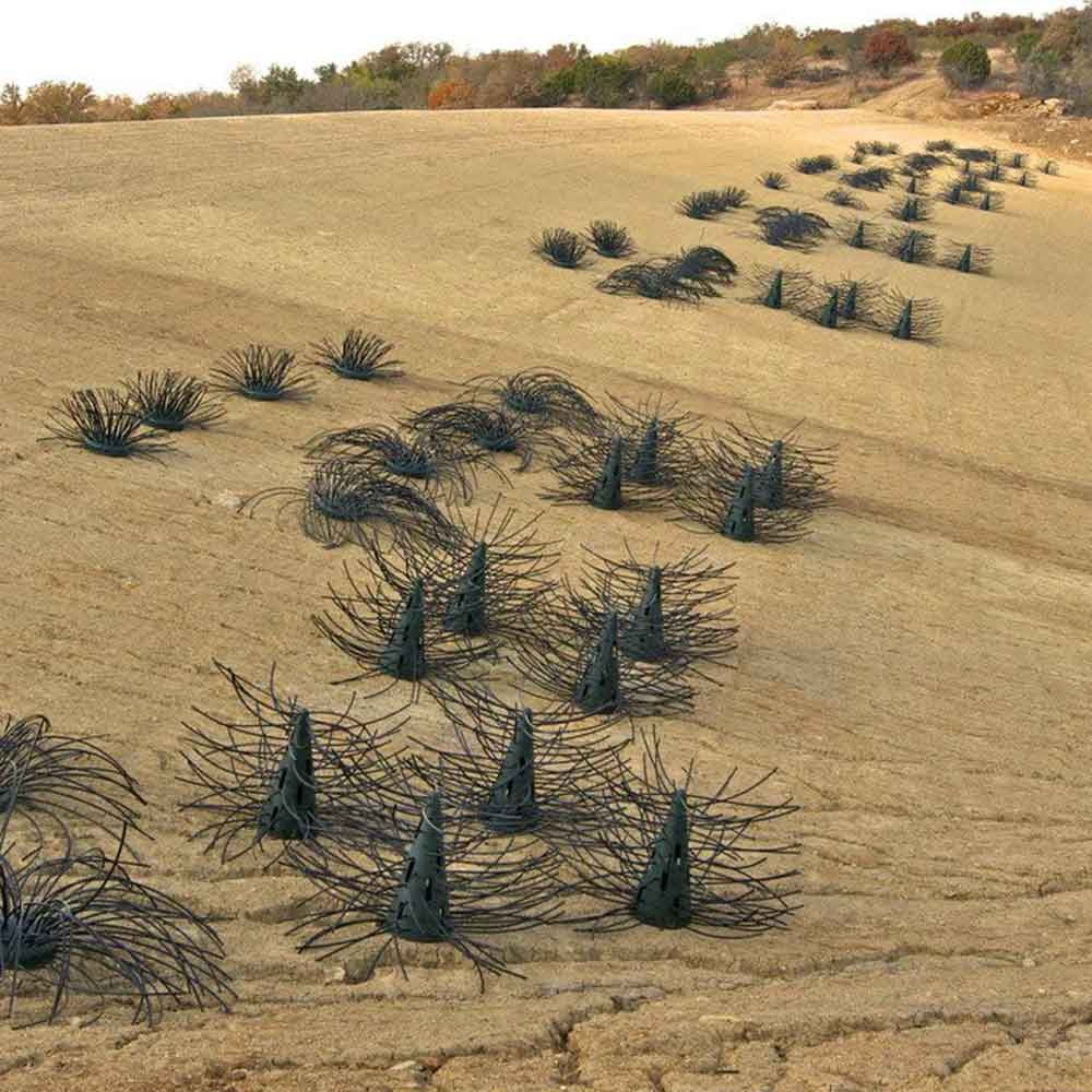 New Pond Installation