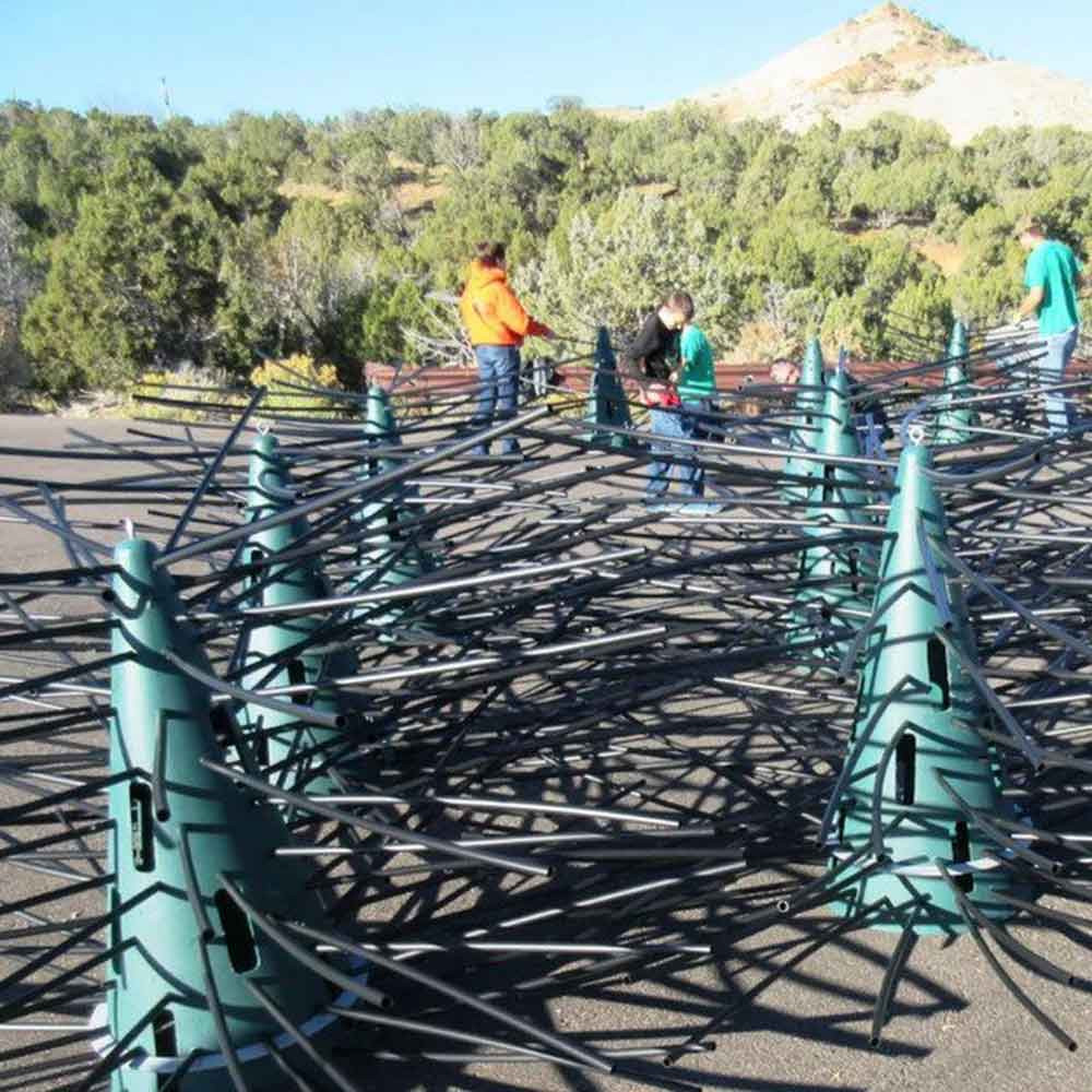 Pond King Honey Hole Tree Grouping