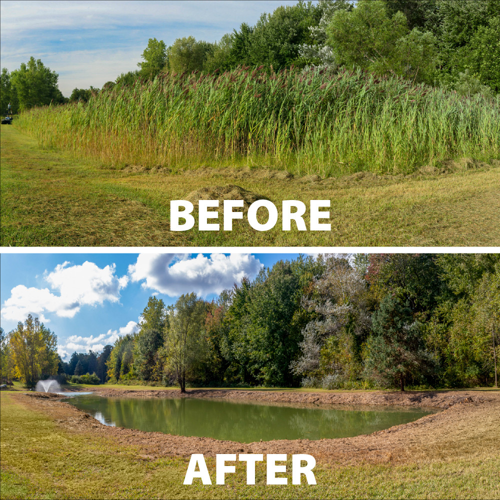 A split image with “Before showing a dense, weedy pond and “After” showcasing the same pond, but clean and weed-free.