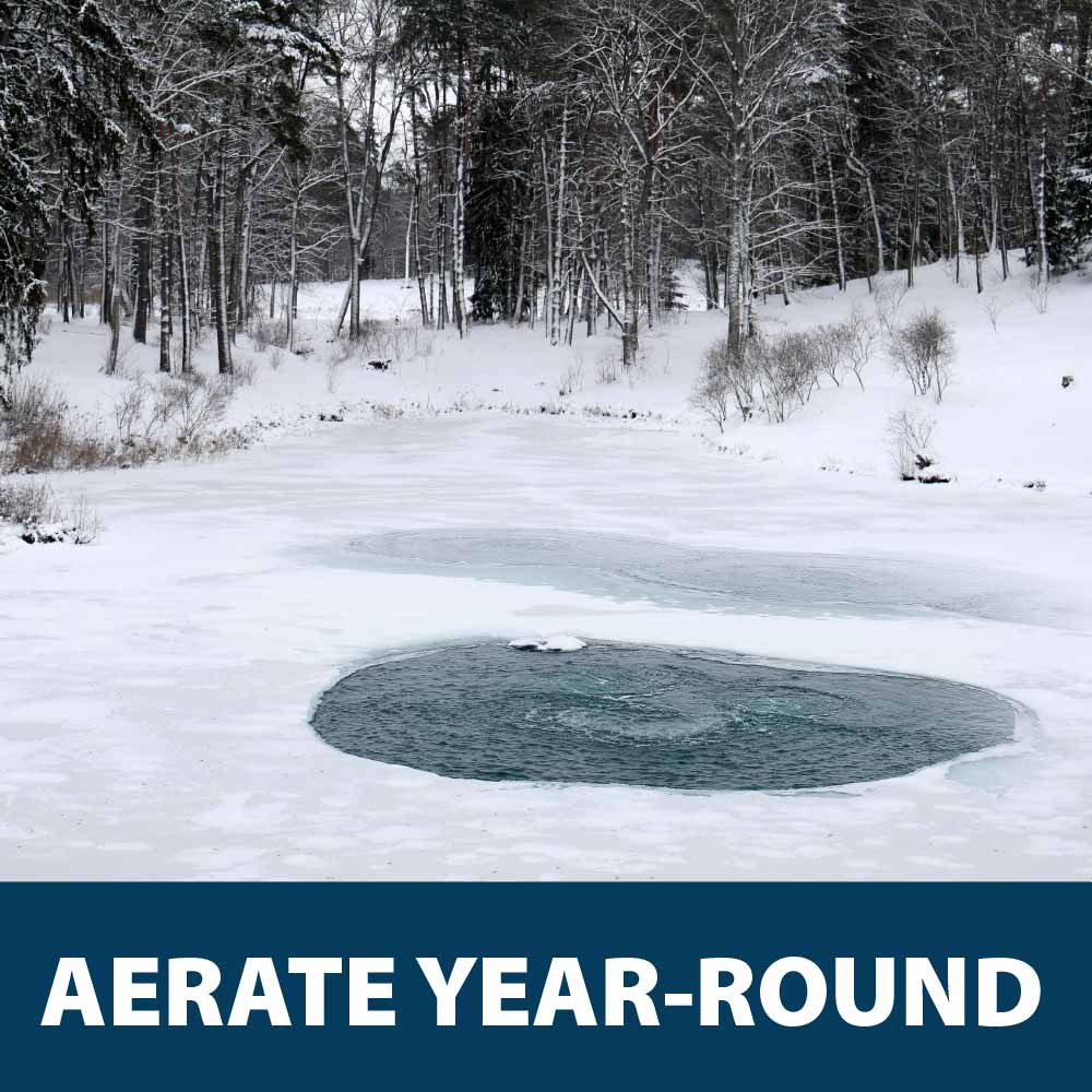 A snow-covered, frozen pond with a large ice hole around aeration bubbles, with text: “Aerate year-round”.