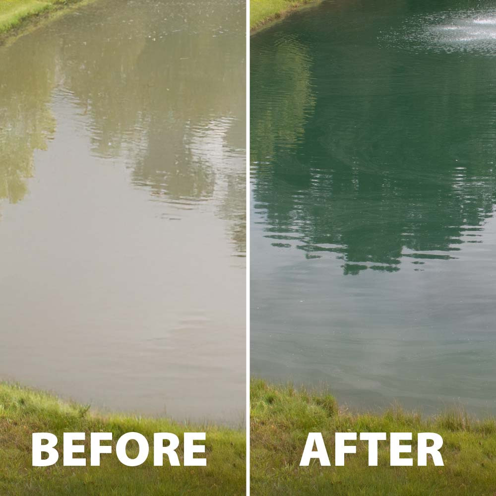 Before & After image showing a murky pond turned clear by Airmax aeration.
