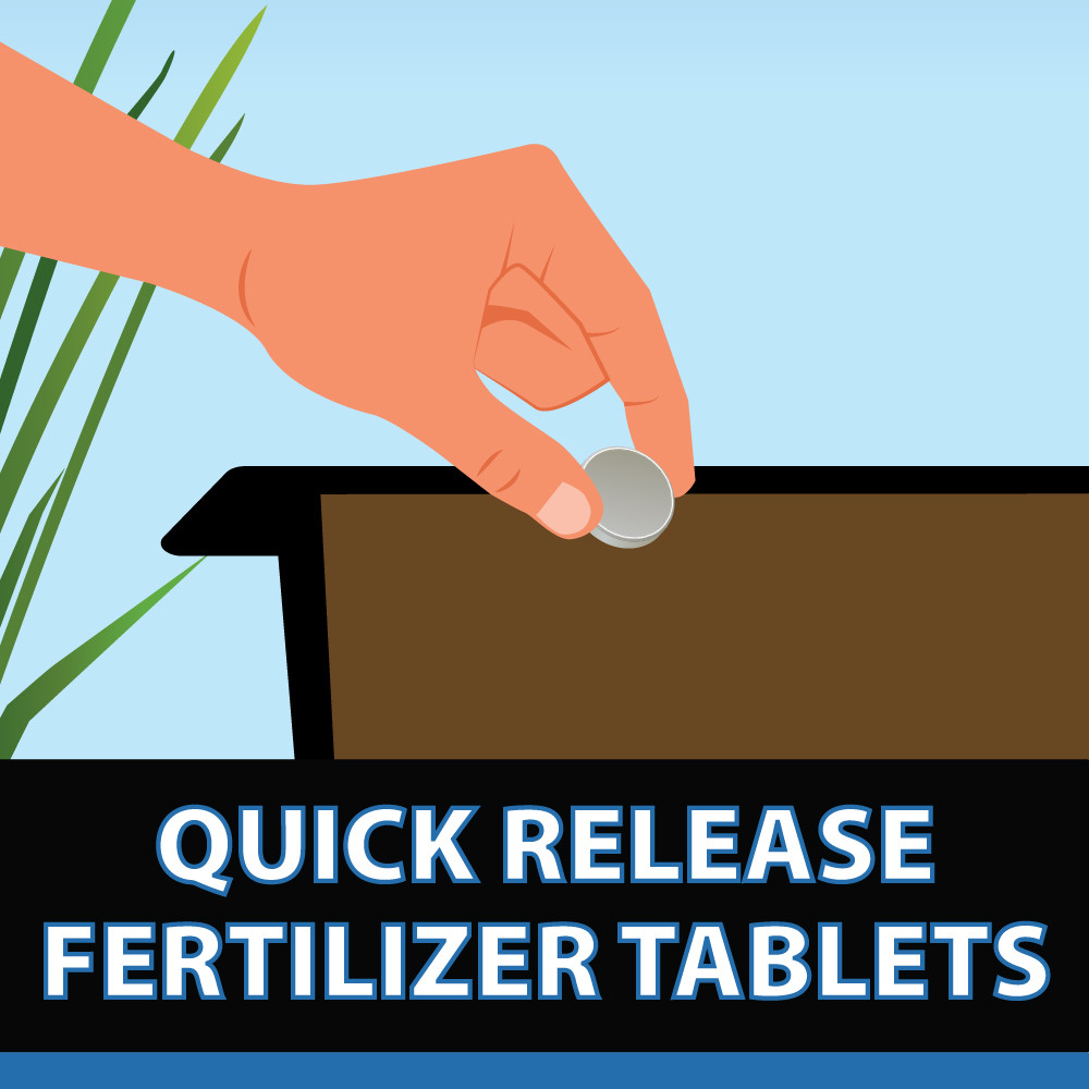 An illustration showing a person placing a Thrive tab in an aquatic planter, with text: “Quick-release fertilizer tablets”.