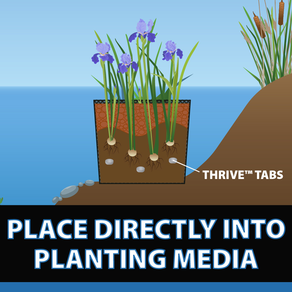 CrystalClear Thrive Aquatic Plant Fertilizer Tablets