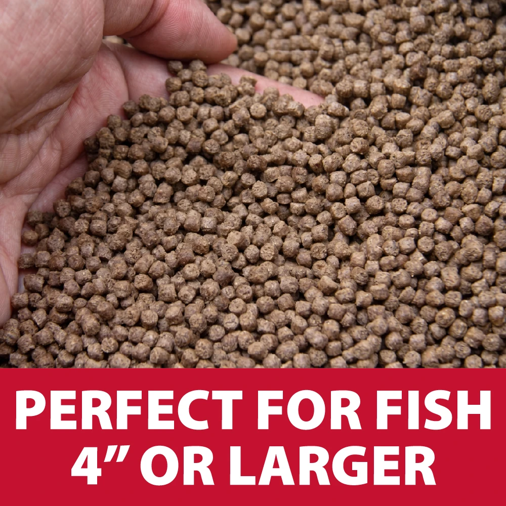 Close-up of Spring & Fall floating fish food pellets in hand with text noting they are ideal for koi and goldfish 4 inches or larger.
