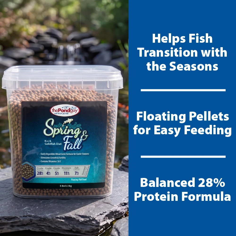The Pond Guy Spring & Fall fish food tub beside pond, highlighting seasonal transition support, floating pellets, and 28% protein.