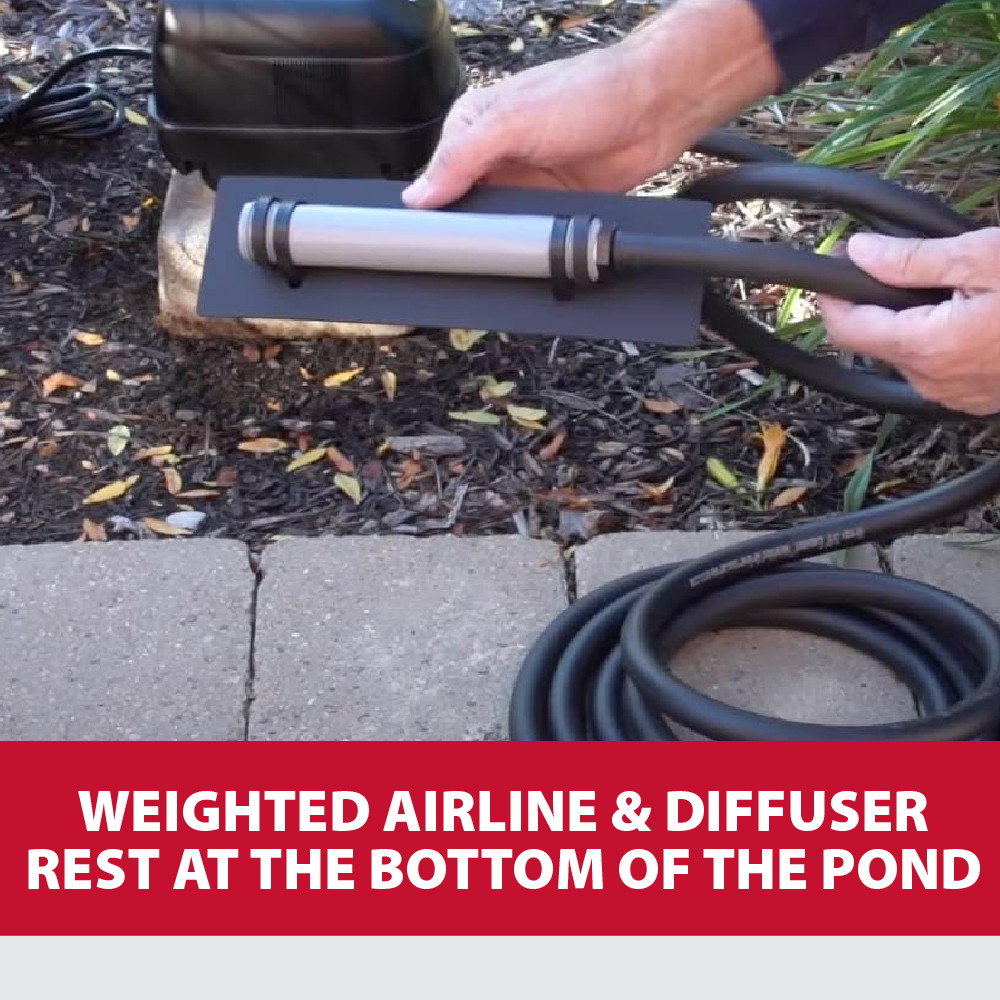 A person holding the diffuser stick, with text: 