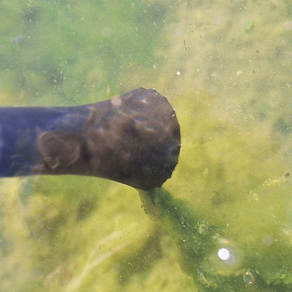 Oase PondoVac Classic - String Algae Nozzle Shown