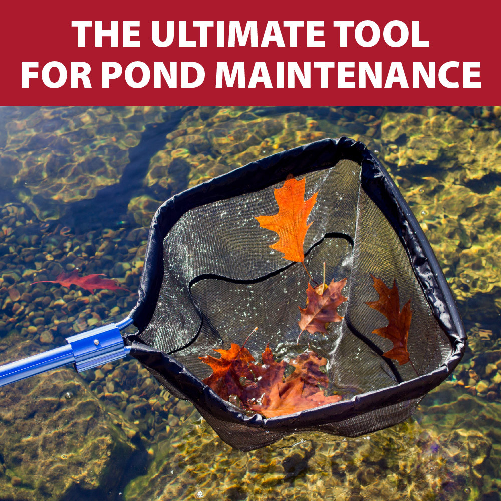 Heavy-duty pond net scoops floating leaves from clear water, making seasonal pond cleanup and debris removal fast and efficient.