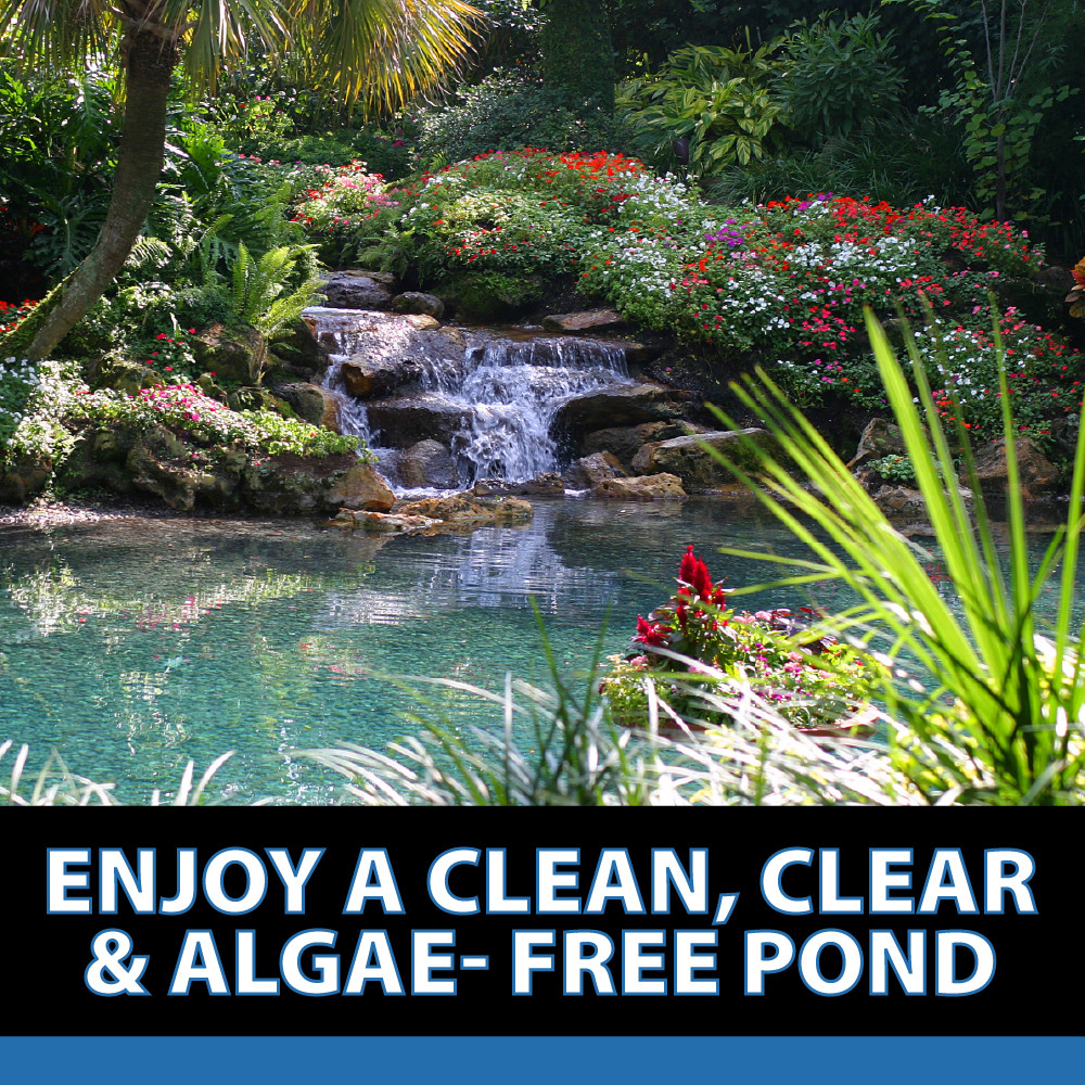 CrystalClear Algae D-Solv | Koi Pond Algaecide | The Pond Guy