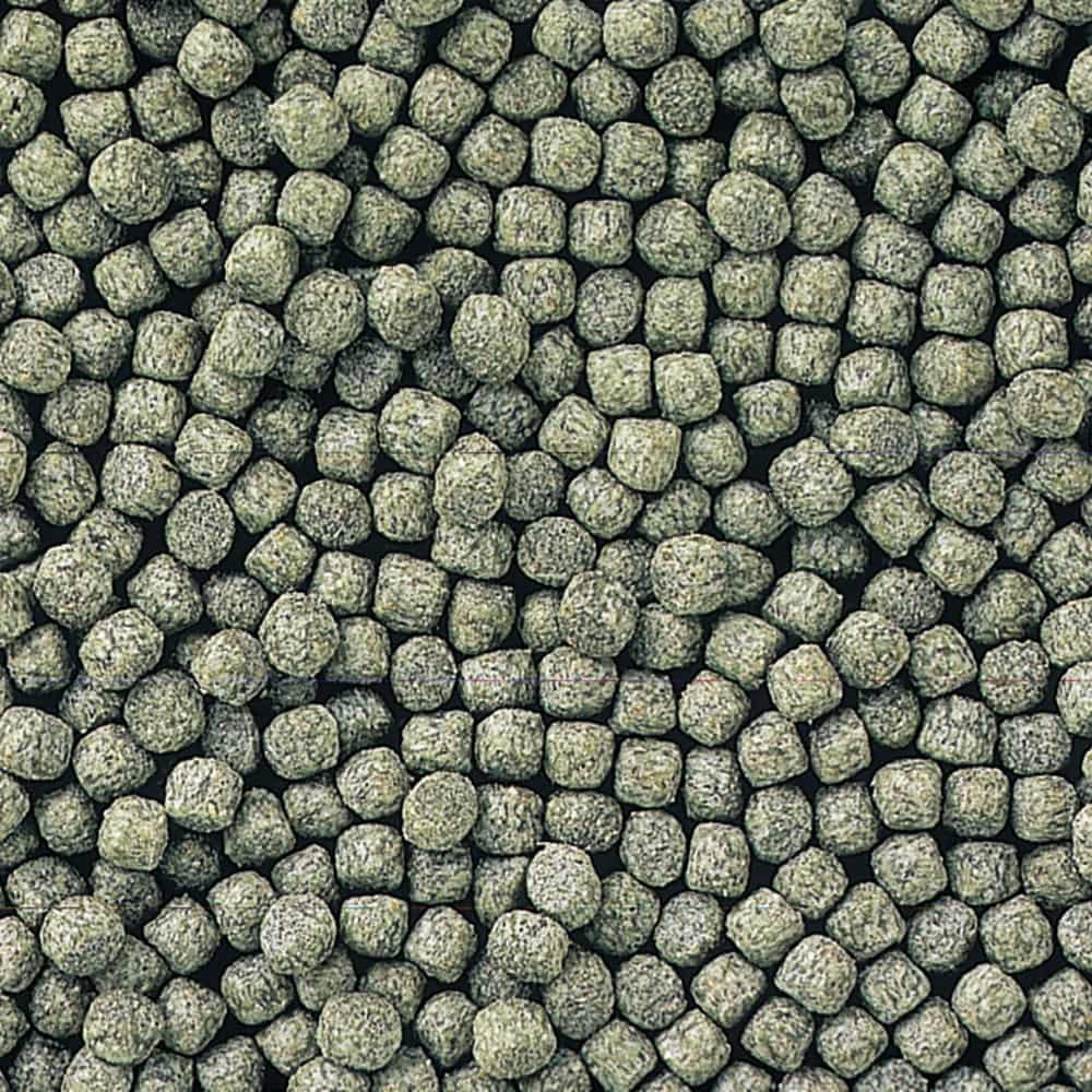 Hikari Staple Fish Food Mini Pellet Close Up