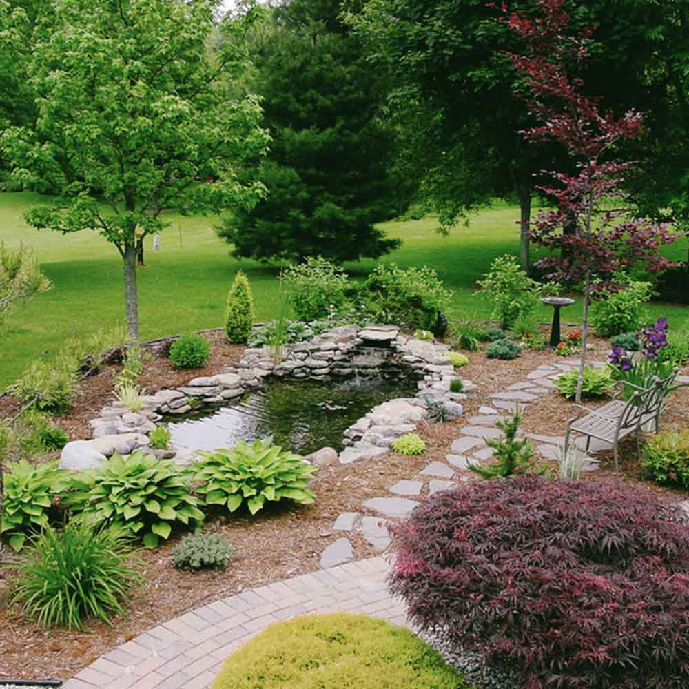 Entry-level DIY Project Pond Kit