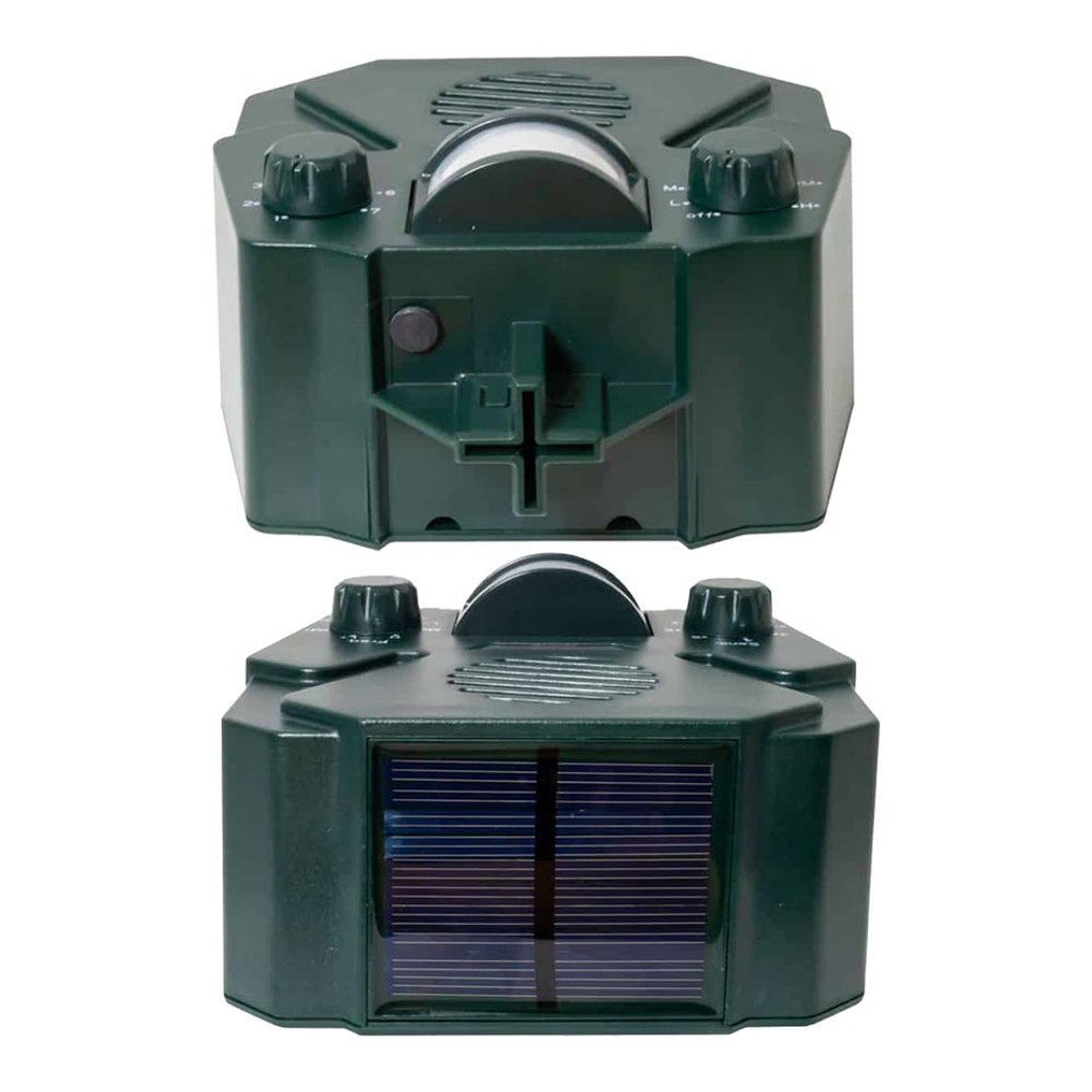 Uses Solar Power and Motion-Sensor Activation