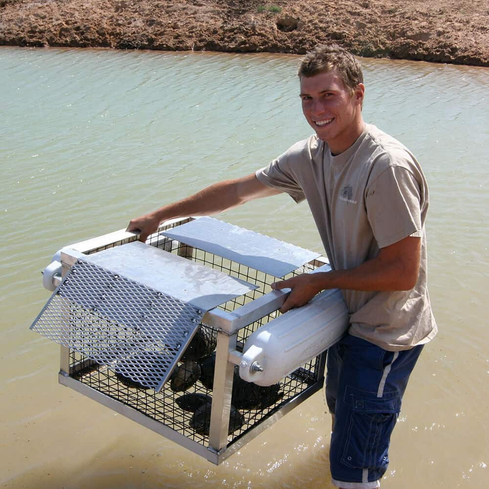 Floating Turtle Trap in Use