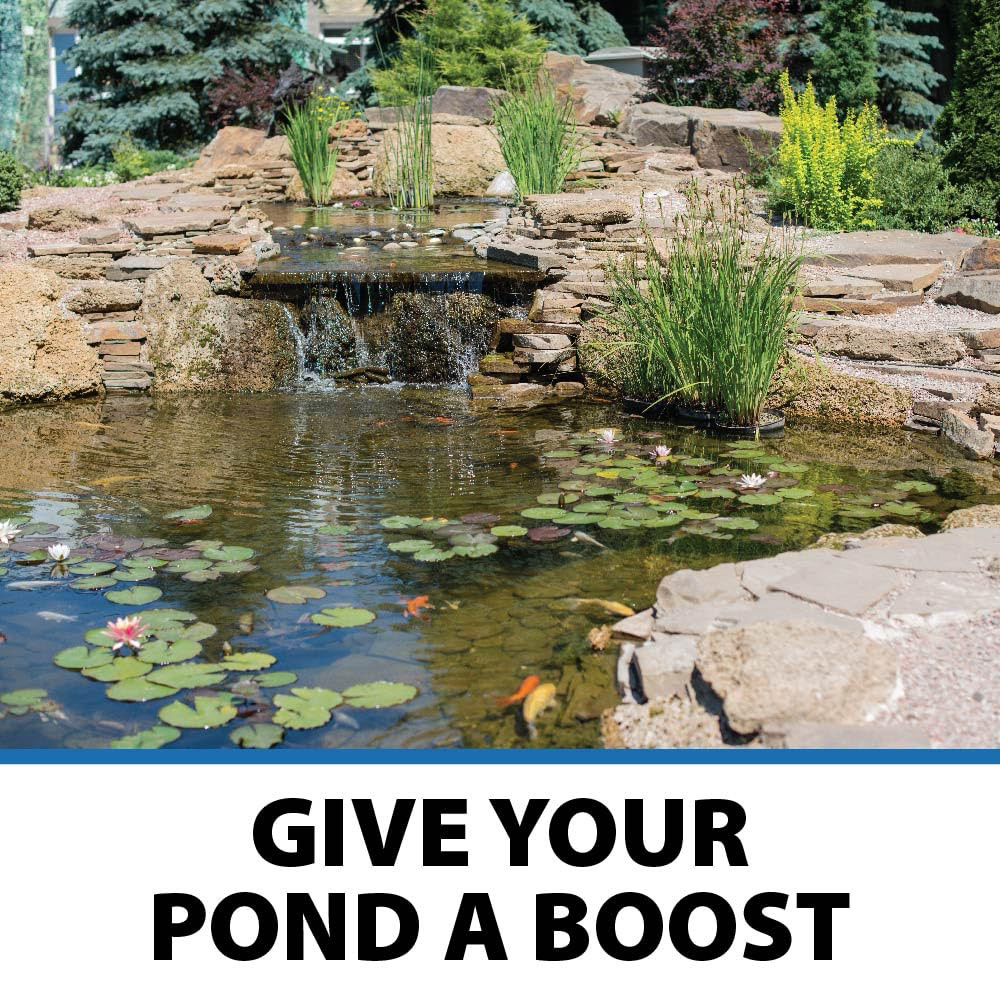 A beautifully clear pond with a waterfall and lush plants with the text “Give Your Pond A Boost”.