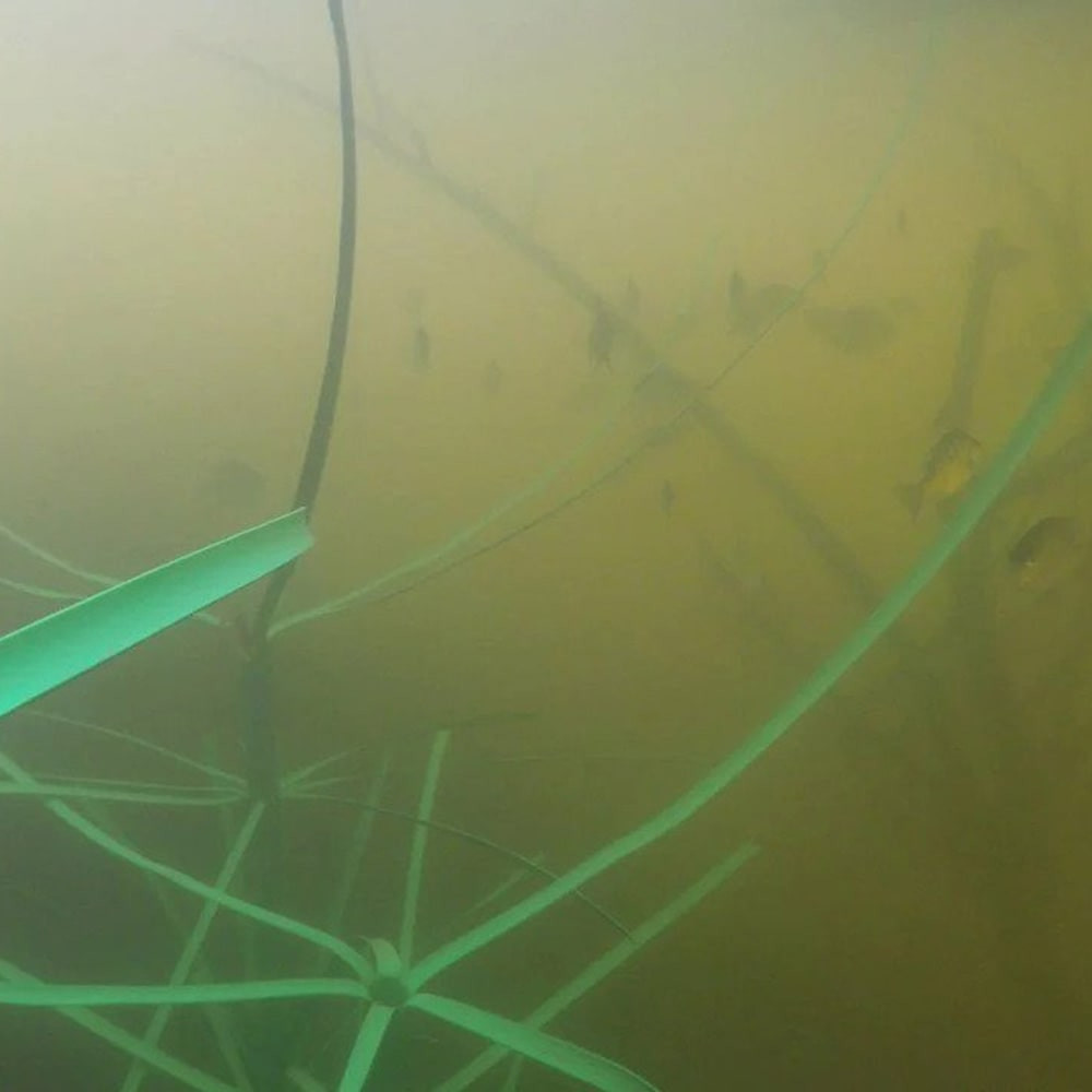 Fish Attractor Replicates Riparian Vegetation