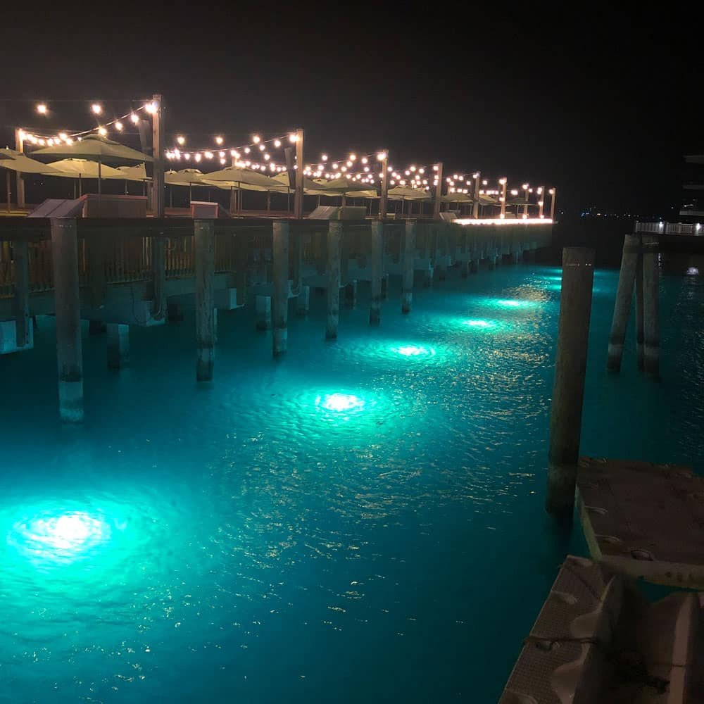 Hydro Glow Anchored Underwater Blue Dock Lights for Great Aesthetics
