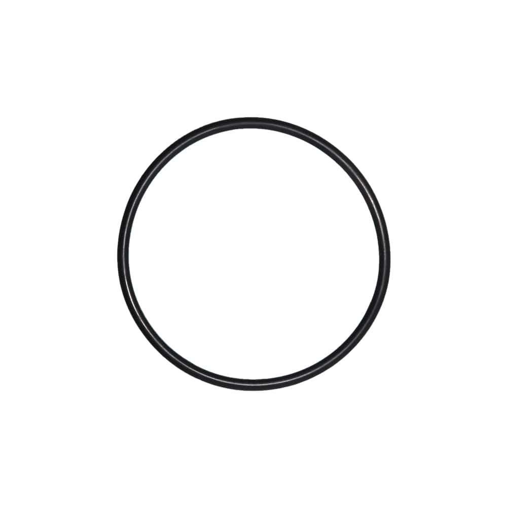 Alpine Cyclone Pump - O-Ring