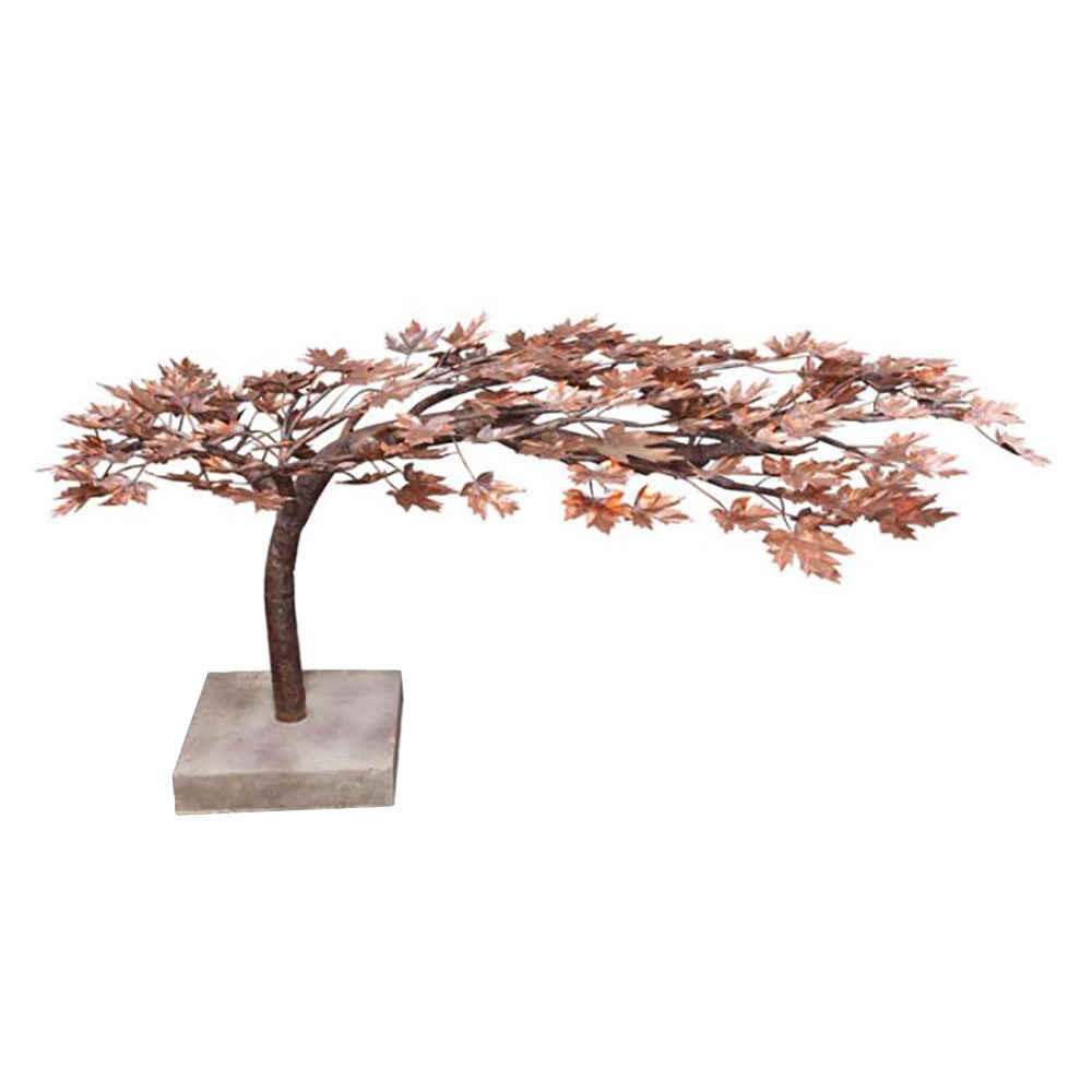 Creeping Maple Tree