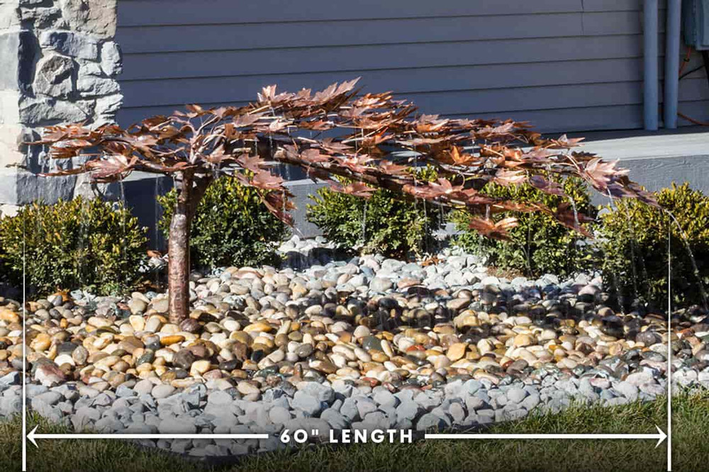 Creeping Maple Tree - Length