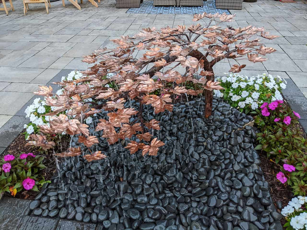 Creeping Maple Tree Kit