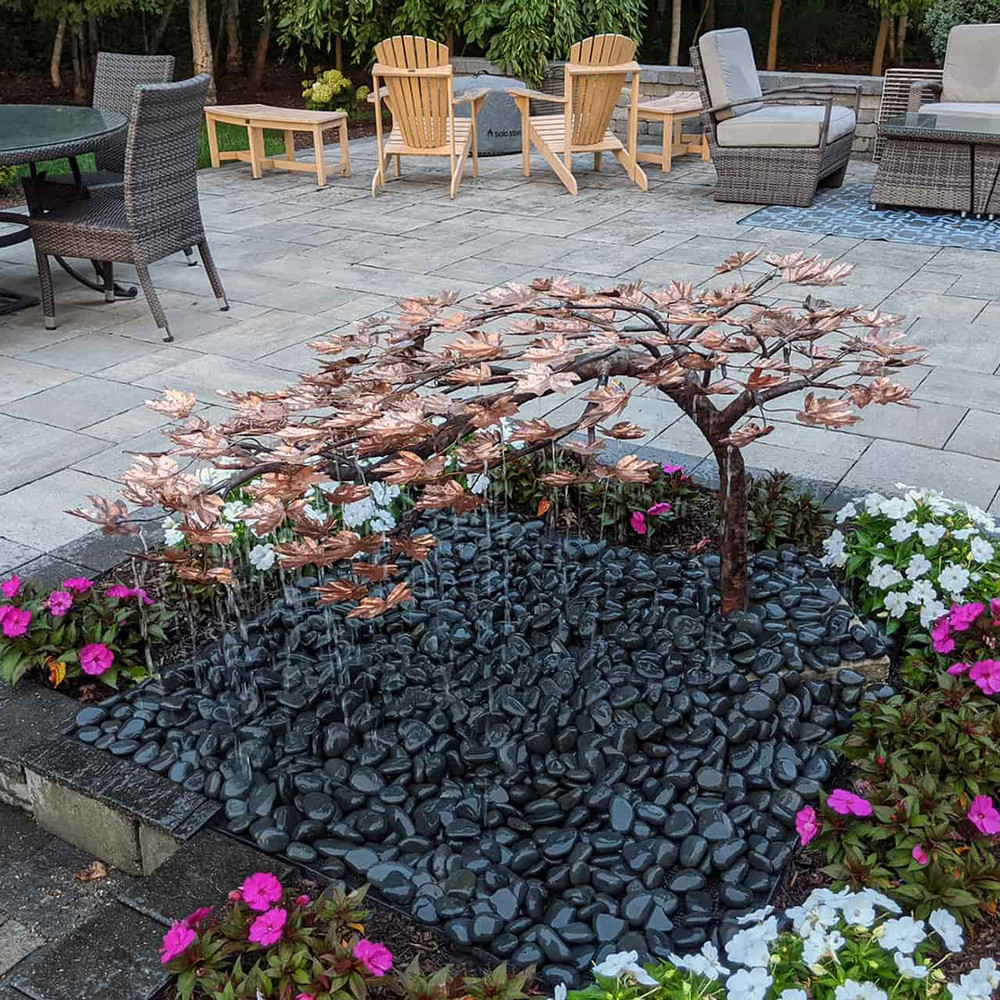 Creeping Maple Tree Adds Curb Appeal