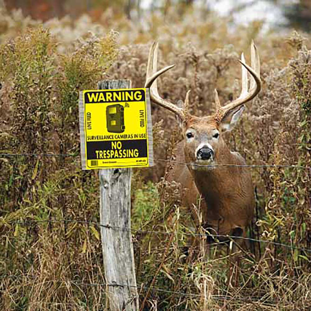 Hard Nosed No Trespassing Live Feed Camera Sign, 12 x 15 Yellow Sign