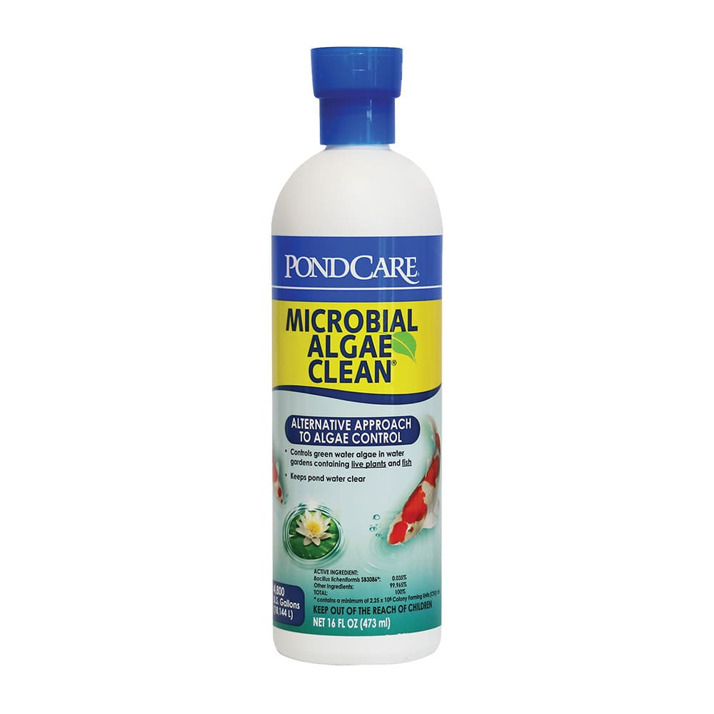 API PondCare Microbial Algae Clean - 16 Ounce