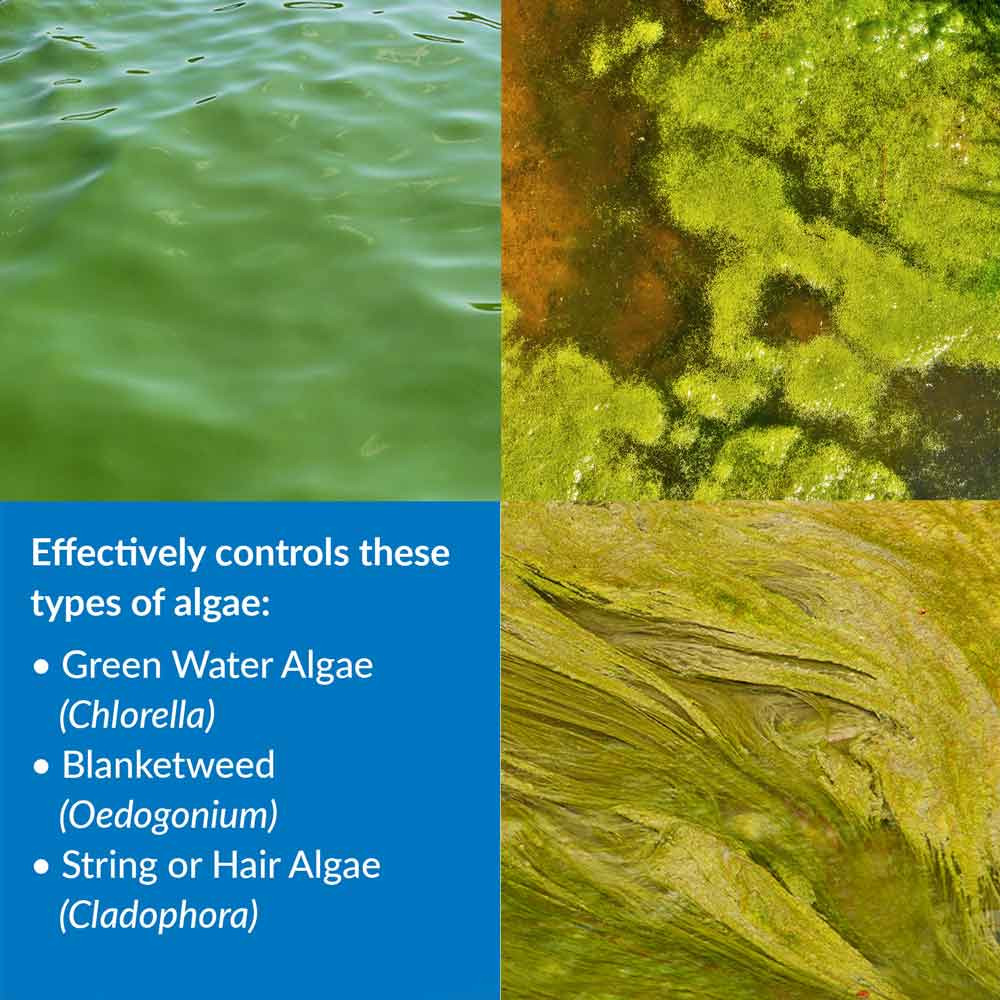 API Pond Essentials With Food Controls Algae Blooms