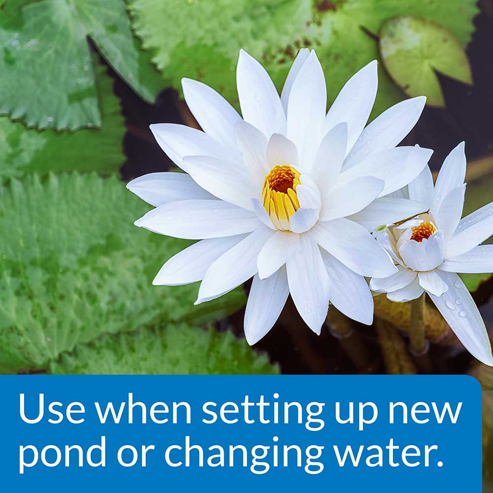 Ideal for New Ponds or Water Changes