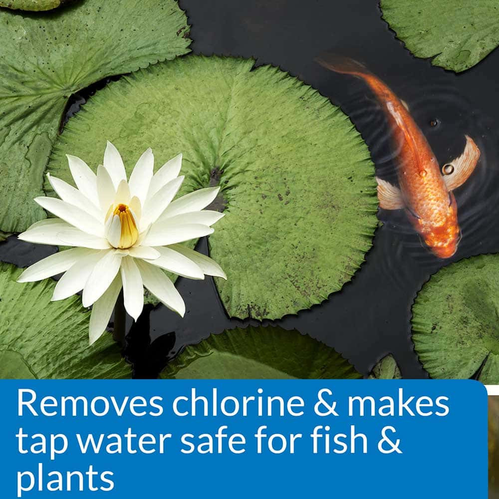 Make Tap Water Safe for Fish and Plants