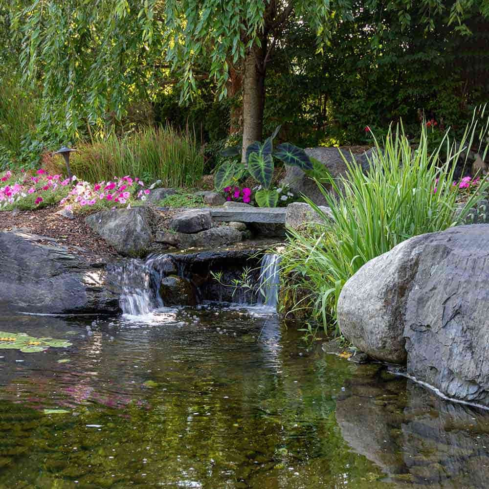 Aquascape 21' x 26' Pond Kit | Build a Pond | The Pond Guy