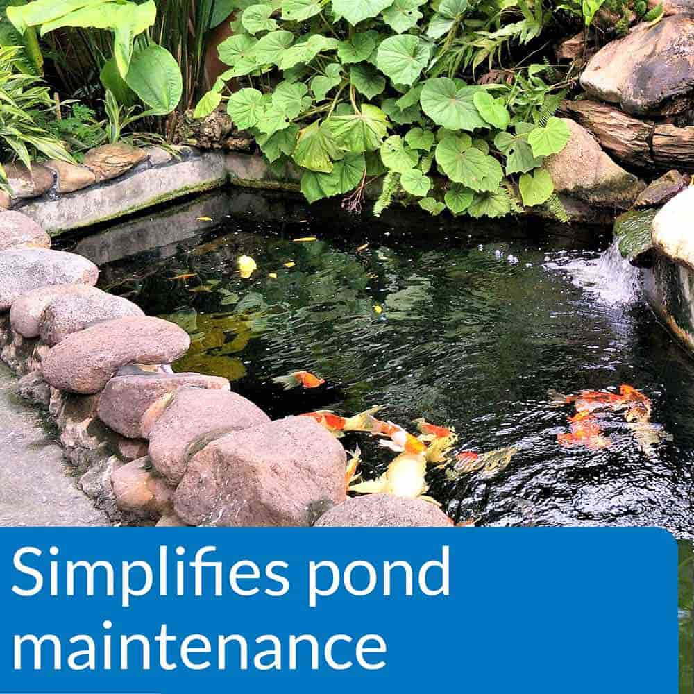 Ecofix Sludge Destroyer Promotes Simplifies Pond Maintenance